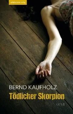 Bernd Kaufholz Tödlicher Skorpion обложка книги