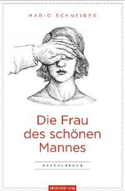 Mario Schneider Die Frau des schönen Mannes обложка книги