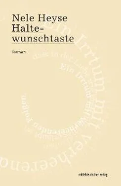 Nele Heyse Haltewunschtaste обложка книги