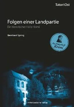 Bernhard Spring Folgen einer Landpartie обложка книги