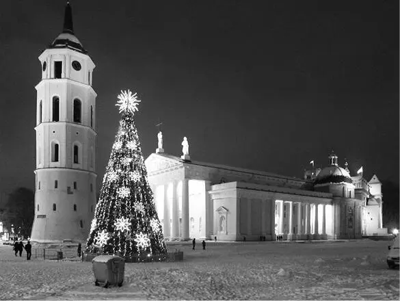 Nicht immer so besinnlich Domplatz in Vilnius Immer wieder sagt die Regierung - фото 1
