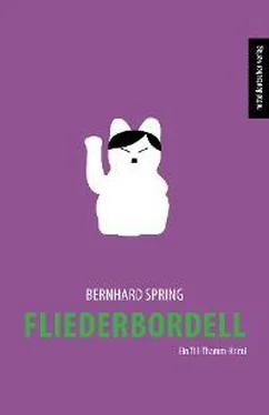 Bernhard Spring Fliederbordell обложка книги