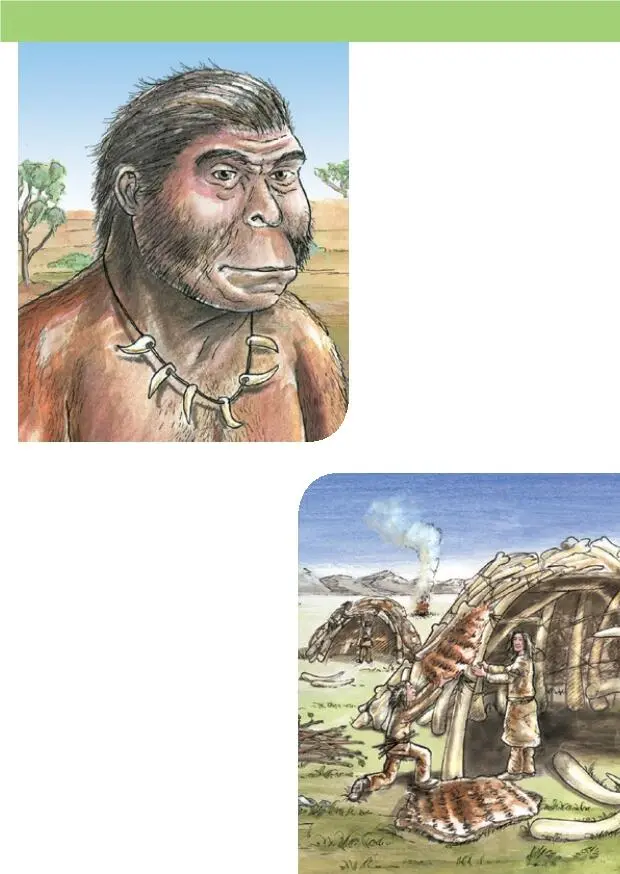 Tierzähne Die Menschen der Urzeit gingen oft jagen Sie trugen die Eckzähne - фото 6