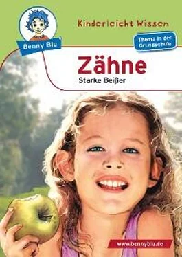 Renate Wienbreyer Benny Blu - Zähne обложка книги