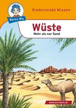 Susanne Hansch Benny Blu - Wüste обложка книги