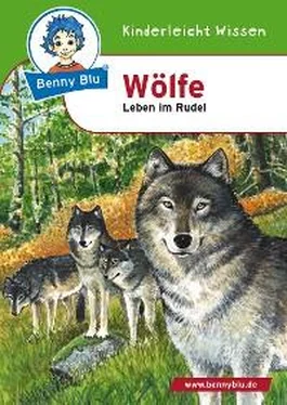 Susanne Hansch Benny Blu - Wölfe обложка книги