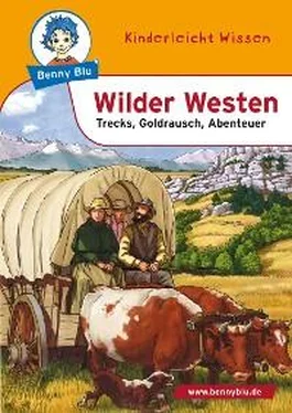 Sabrina Kuffer Benny Blu - Wilder Westen обложка книги