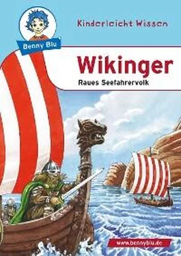 Dagmar Koopmann Benny Blu - Wikinger обложка книги