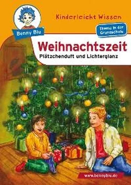 Claudia Biermann Benny Blu - Weihnachtszeit обложка книги