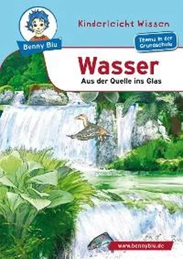 Kerstin Schopf Benny Blu - Wasser обложка книги