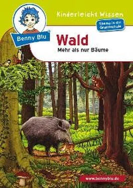 Gudrun A Spalke Benny Blu - Wald обложка книги