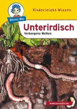 Susanne Hansch Benny Blu - Unterirdisch обложка книги