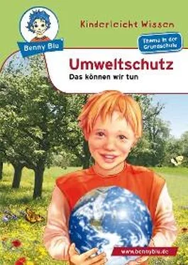 Nicola Herbst Benny Blu - Umweltschutz обложка книги