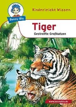 Susanne Hansch Benny Blu - Tiger обложка книги