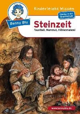 Sonja Müller Benny Blu - Steinzeit обложка книги