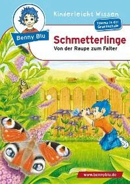 Dagmar Koopmann Benny Blu - Schmetterlinge обложка книги