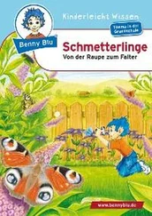 Dagmar Koopmann - Benny Blu - Schmetterlinge