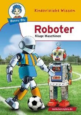 Verena Wagner Benny Blu - Roboter обложка книги