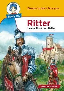 Petra Stubenrauch Benny Blu - Ritter обложка книги
