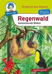 Claudia Biermann - Benny Blu - Regenwald