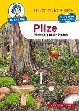 Kerstin Schopf Benny Blu - Pilze обложка книги