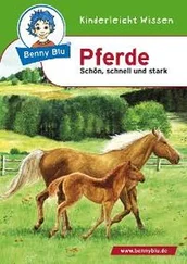 Nicola Herbst - Benny Blu - Pferde