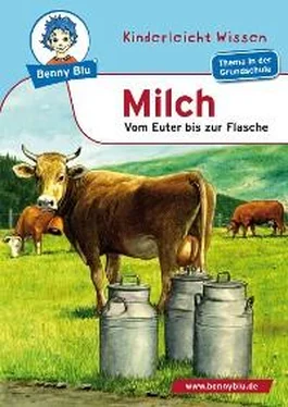 Renate Wienbreyer Benny Blu - Milch обложка книги