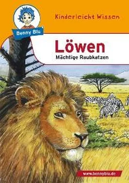 Susanne Hansch Benny Blu - Löwen обложка книги
