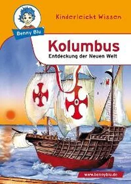 Dagmar Koopmann Benny Blu - Kolumbus обложка книги