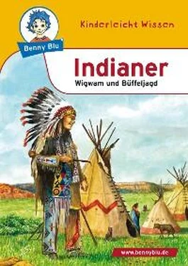 Nicola Herbst Benny Blu - Indianer обложка книги