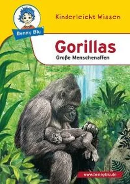 Nicola Herbst Benny Blu - Gorillas обложка книги