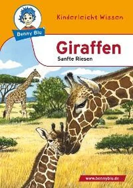 Renate Wienbreyer Benny Blu - Giraffen обложка книги