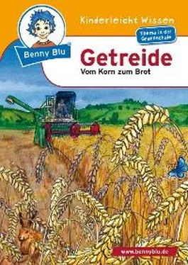 Susanne Hansch Benny Blu - Getreide обложка книги