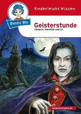 Doris Wirth Benny Blu - Geisterstunde обложка книги