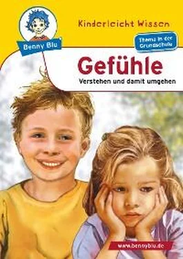 Renate Wienbreyer Benny Blu - Gefühle обложка книги