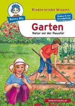 Claudia Biermann Benny Blu - Garten обложка книги