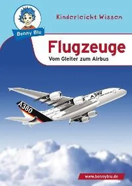Susanne Hansch Benny Blu - Flugzeuge обложка книги