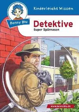 Claudia Biermann Benny Blu Detektive обложка книги