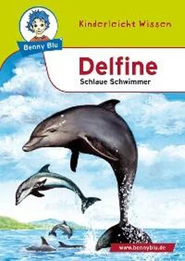 Nicola Herbst Benny Blu - Delfine обложка книги