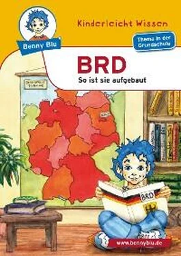 Kerstin Schopf Benny Blu - BRD обложка книги