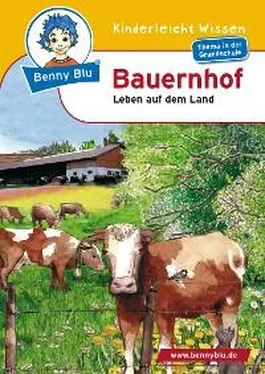Kerstin Schopf Benny Blu - Bauernhof обложка книги
