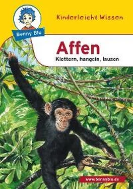 Renate Wienbreyer Benny Blu - Affen обложка книги