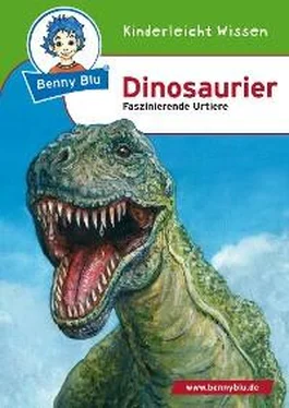 Nicola Herbst Benny Blu - Dinosaurier обложка книги
