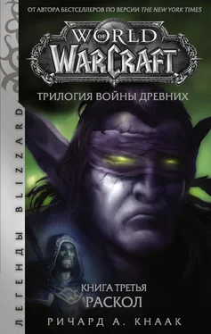 Ричард Кнаак World of Warcraft. Трилогия Войны Древних: Раскол обложка книги