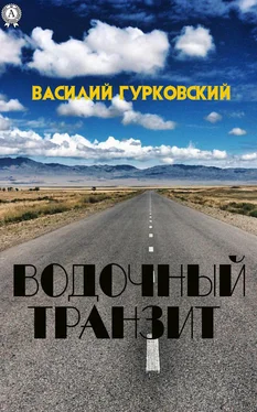 Василий Гурковский Водочный транзит обложка книги