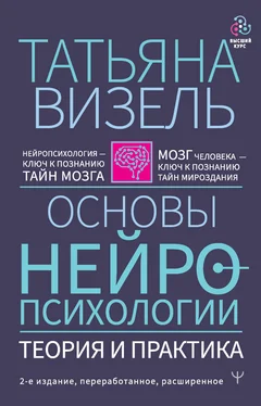 Татьяна Визель Основы нейропсихологии. Теория и практика обложка книги