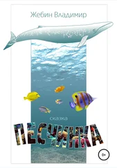 Владимир Жебин - Песчинка