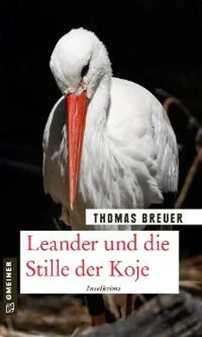 Thomas Breuer Leander und die Stille der Koje обложка книги