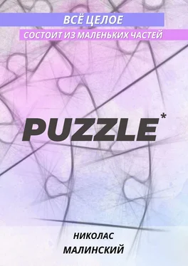 Николас Малинский PUZZLE. Всё целое состоит из маленьких частей обложка книги