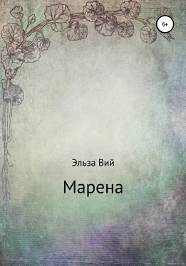 Эльза Вий Марена обложка книги